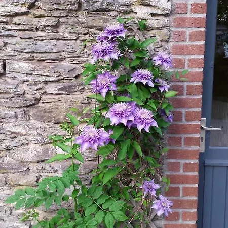 Espace Cosmos Vakantiehuis *