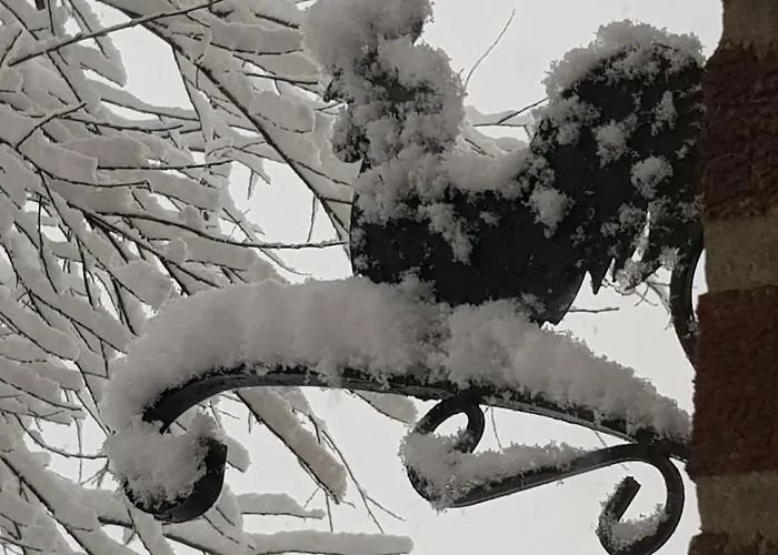 Espace Cosmos * Vaux-sur-Sure