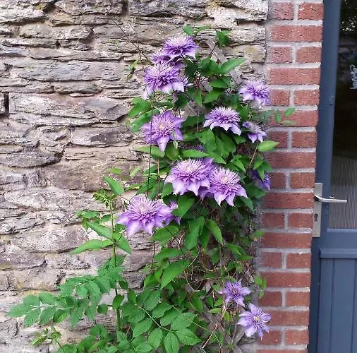 Espace Cosmos Tatil Evi *